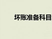 壞賬準(zhǔn)備科目編碼（壞賬準(zhǔn)備科目）
