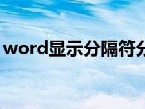 word顯示分隔符分頁符（word顯示分隔符）