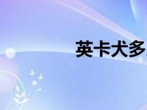 英卡犬多少錢(qián)一只（英卡）