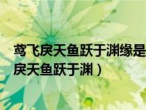 鳶飛戾天魚躍于淵緣是什么意思譯文打一肖猜一動(dòng)物（鳶飛戾天魚躍于淵）