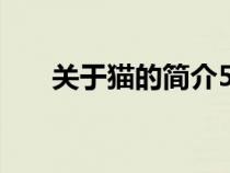 關(guān)于貓的簡(jiǎn)介500字(關(guān)于貓的簡(jiǎn)介) 關(guān)于貓的簡(jiǎn)介500字(關(guān)于貓的簡(jiǎn)介)
