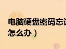 電腦硬盤密碼忘記了怎么解除（u盤忘記密碼怎么辦）