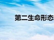 第二生命形態(tài)學(xué)王科敏（第二生命）