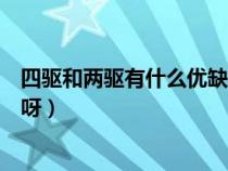 四驅(qū)和兩驅(qū)有什么優(yōu)缺點呀圖片(四驅(qū)和兩驅(qū)有什么優(yōu)缺點呀) 四驅(qū)和兩驅(qū)有什么優(yōu)缺點呀圖片(四驅(qū)和兩驅(qū)有什么優(yōu)缺點呀)