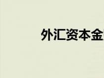 外匯資本金賬戶(資本金賬戶) 外匯資本金賬戶(資本金賬戶)