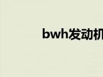 bwh發(fā)動機(jī)額定轉(zhuǎn)速（BWH）