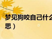 夢見狗咬自己什么預(yù)兆(夢見被狗咬是什么意思) 夢見狗咬自己什么預(yù)兆(夢見被狗咬是什么意思)