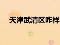 天津武清區(qū)咋樣（天津市武清區(qū)怎么樣）