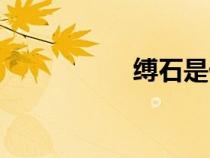 縛石是什么石（縛石）
