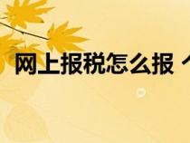 網上報稅怎么報 個體戶（網上報稅怎么報）