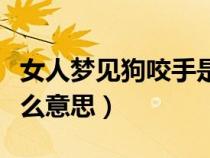 女人夢見狗咬手是什么預(yù)兆（夢見被狗咬是什么意思）