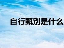 自行甄別是什么意思（甄別是什么意思）