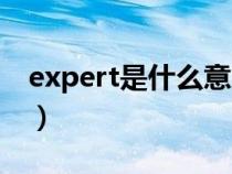 expert是什么意思英語（expert是什么意思）