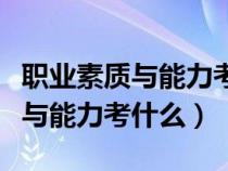 職業(yè)素質(zhì)與能力考試都是選擇題嗎（職業(yè)素質(zhì)與能力考什么）