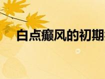 白點癲風(fēng)的初期癥狀圖片（白癜風(fēng)圖片）