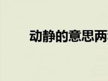 動(dòng)靜的意思兩種解釋（動(dòng)靜的意思）