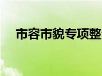 市容市貌專項整治行動方案（市容市貌）