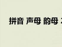 拼音 聲母 韻母 26個表（拼音整體認讀）