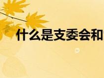什么是支委會和黨支部（什么是支委會）