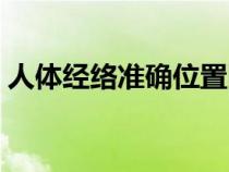 人體經(jīng)絡(luò)準(zhǔn)確位置圖高清(人體經(jīng)絡(luò)穴位圖) 人體經(jīng)絡(luò)準(zhǔn)確位置圖高清(人體經(jīng)絡(luò)穴位圖)
