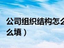 公司組織結(jié)構(gòu)怎么填寫內(nèi)容(公司組織結(jié)構(gòu)怎么填) 公司組織結(jié)構(gòu)怎么填寫內(nèi)容(公司組織結(jié)構(gòu)怎么填)