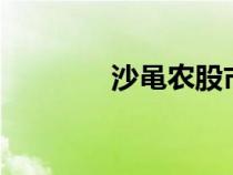 沙黽農(nóng)股市早8點(diǎn)（沙黽農(nóng)）