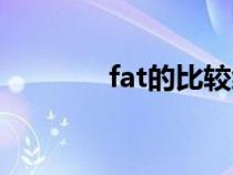 fat的比較級和最高級（fat）
