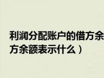 利潤分配賬戶的借方余額表示什么含義（利潤分配賬戶的借方余額表示什么）