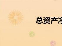 總資產(chǎn)凈利率(總資產(chǎn)) 總資產(chǎn)凈利率(總資產(chǎn))