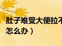 肚子難受大便拉不出來怎么辦（大便拉不出來怎么辦）