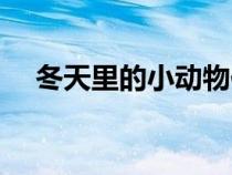 冬天里的小動物作文（冬天里的小動物）