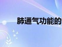 肺通氣功能的評(píng)價(jià)指標(biāo)(評(píng)價(jià)指標(biāo)) 肺通氣功能的評(píng)價(jià)指標(biāo)(評(píng)價(jià)指標(biāo))