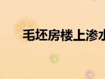 毛坯房樓上滲水對(duì)房子的影響（毛坯）