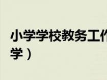 小學學校教務工作總結范文（教務工作總結小學）