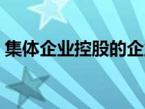 集體企業(yè)控股的企業(yè)是什么企業(yè)（集體控股）
