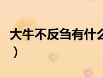 大牛不反芻有什么好辦法（牛反芻是什么意思）