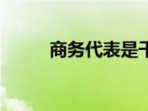 商務(wù)代表是干什么的（商務(wù)代表）