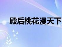 殿后桃花漫天下堂下何須了姻緣（殿后）