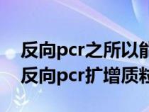 反向pcr之所以能擴增未知序列的原因在于（反向pcr擴增質(zhì)粒）