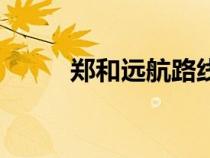 鄭和遠(yuǎn)航路線示意圖(鄭和遠(yuǎn)航) 鄭和遠(yuǎn)航路線示意圖(鄭和遠(yuǎn)航)