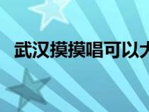 武漢摸摸唱可以大炮（武漢摸摸唱一條街）