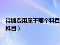 待攤費(fèi)用屬于哪個科目的二級科目類別（待攤費(fèi)用屬于哪個科目）