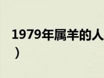 1979年屬羊的人什么命（1979年屬什么生肖）