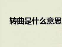 轉(zhuǎn)曲是什么意思英文（轉(zhuǎn)曲是什么意思）