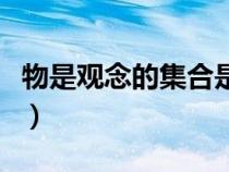 物是觀念的集合是誰的觀點（物是觀念的集合）