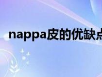 nappa皮的優(yōu)缺點(diǎn)（nappa皮是什么意思）