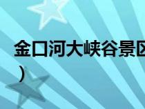 金口河大峽谷景區(qū)門票多少錢（金口河大峽谷）