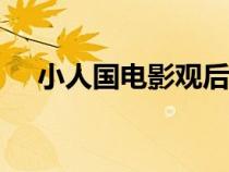 小人國電影觀后感500字（小人國電影）