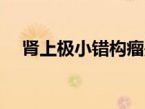 腎上極小錯(cuò)構(gòu)瘤是什么(錯(cuò)構(gòu)瘤是什么) 腎上極小錯(cuò)構(gòu)瘤是什么(錯(cuò)構(gòu)瘤是什么)