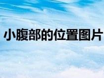 小腹部的位置圖片（小腹的位置在哪里圖片）
